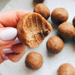 Gingerbread Protein Balls