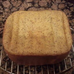 Gluten Free Bread