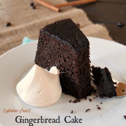 Gluten Free Gingerbread Cake with Chocolate and Coffee