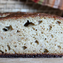 Gluten-free, Grain-free Sourdough Bread