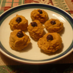 gluten-free-pumpkin-cookies-8a0ec2-64b30afa9d583b833b36d77b.jpg