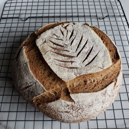 Gluten-Free Sourdough Bread Recipe (Boule Loaf) ~ Homestead and Chill