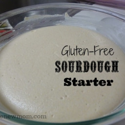 gluten-free-sourdough-starter-2369683.jpg