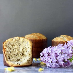 Gluten-Free Vegan Lemon Poppy Seed Muffins