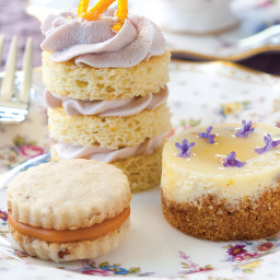 Goat Cheese, Lavender, and Honey Mini Cheesecakes