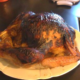 good-eats-roast-turkey-2.jpg