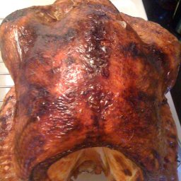 good-eats-roast-turkey-34.jpg