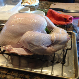 good-eats-roast-turkey-9a06d1.jpg