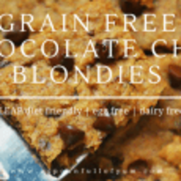 Grain Free Chocolate Chip Blondies