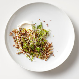 Grain Salad with Puffed Red Quinoa and Labneh
