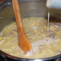 grandma-olgas-homemade-noodles-0f28a7.jpg