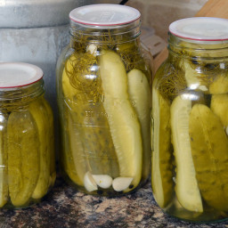 Grandma's Dill Pickle Recipe
