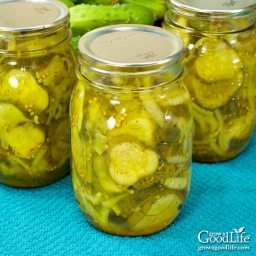 grannys-bread-and-butter-pickles-recipe-2990315.jpg