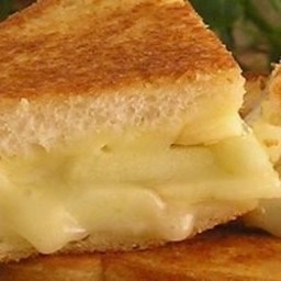 grilled-apple-and-swiss-cheese-sandwich-1344205.jpg