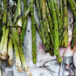 Grilled Calçots and Asparagus with Romesco Sauce