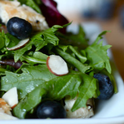 Grilled Chicken and Blueberry Salad