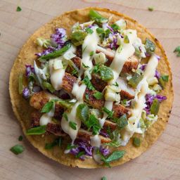 Grilled Chicken Tostada With Creamy Jack Cheese Sauce