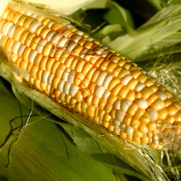 grilled-corn-with-lime-cilantr-820a46.jpg