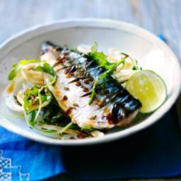 Grilled mackerel with soy lime dressing