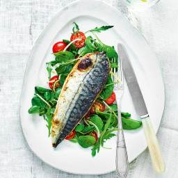 Grilled mackerel with tomato and preserved lemon salad