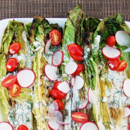 Grilled Romaine Hearts With Buttermilk-Dill Dressing