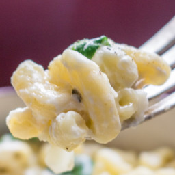 Grown-up White Mac and Cheese