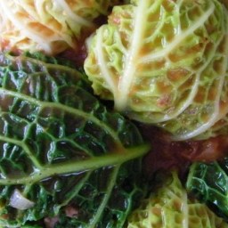 guluptsie-cabbage-rolls-1315921.jpg