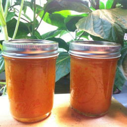 Habanero Honey Hot Sauce