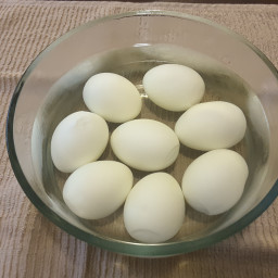 Hard Boiled Eggs (PPC-XL)