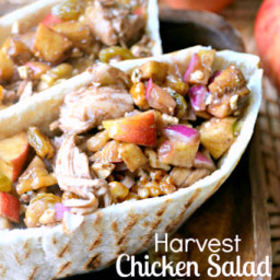 Harvest Chicken Salad Pita
