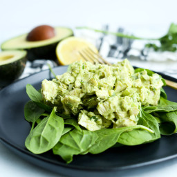 Healthy Avocado Chicken Salad (No Mayo)