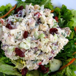 Healthy Chicken Salad with Apples and Cranberries