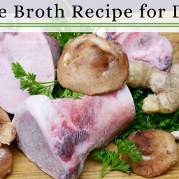 Healthy Dog Recipes | Bone Broth Recipe for Dogs