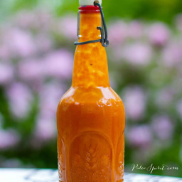 Healthy Homemade French Dressing (American Style)