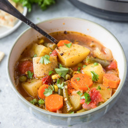 Healthy Instant Pot Recipes: Instant Pot Vegetable Soup