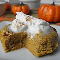 Healthy Pumpkin Pie Custard: Gluten Free and Low Carb