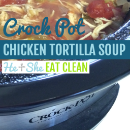 Healthy Slow Cooker Chicken Tortilla Soup Recipe