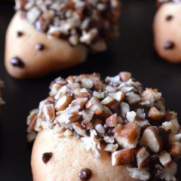Hedgehog Cookies Recipe