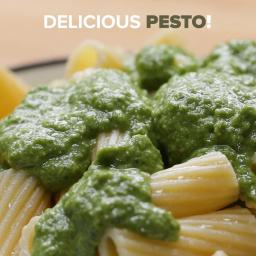 Herb Stem Pesto Recipe by Tasty