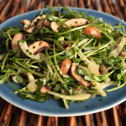Herbed Pea Sprout, Fennel, and Mushroom Salad