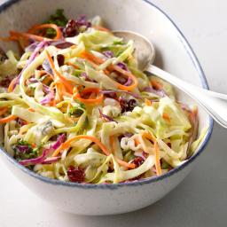 Holiday Slaw with Apple Cider Dressing