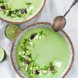 chilled cucumber soup with yogurt, cilantro & coriander