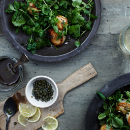 Grilled Scallops over Mixed-Green and Herb Salad