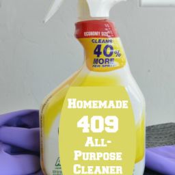 homemade-409-all-purpose-clean-cdf808.jpg