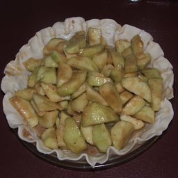 homemade-apple-pie-7.jpg
