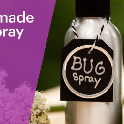 Homemade Bug Spray- Dr. Axe