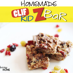 Homemade Clif Kid ZBars