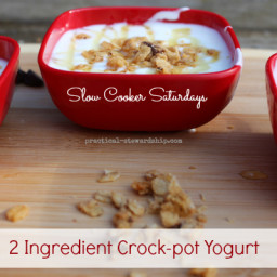 Homemade Crock-Pot Yogurt Recipe