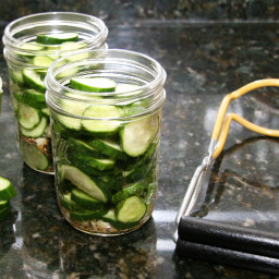 Homemade Dill Pickle Slices Recipe