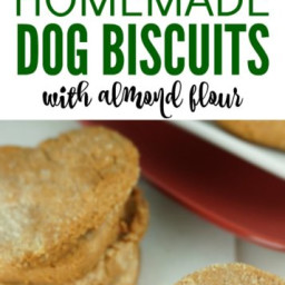 Homemade Dog Treats with Almond Flour